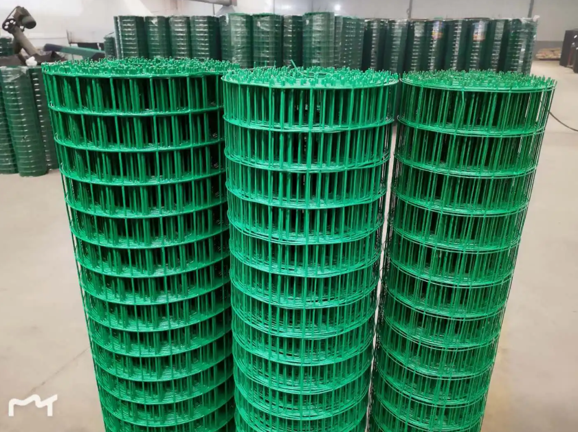 金安荷兰网